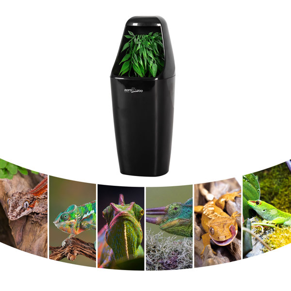 REPTIZOO REPTI ZOO Automatic Reptile Dripper, Reptile Drinking Fountain